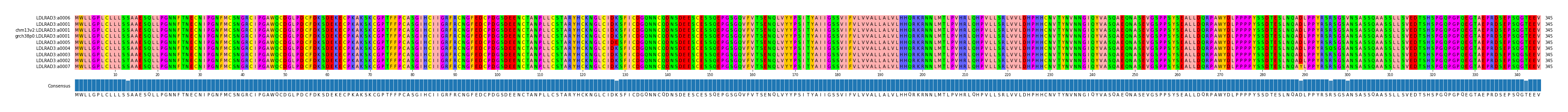 Multiple Alignments (by translate haplotype similarity)