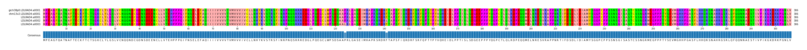 Multiple Alignments (by translate haplotype frequency)
