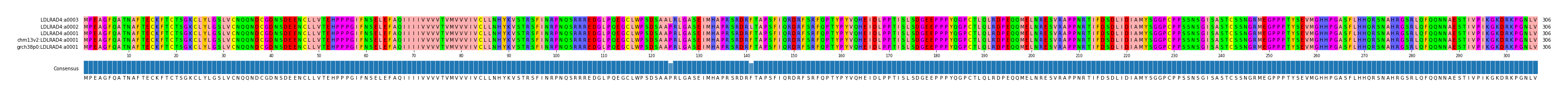 Multiple Alignments (by translate haplotype similarity)