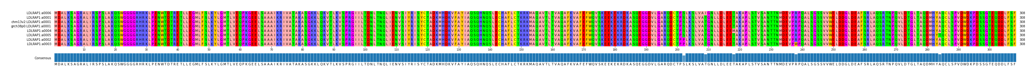 Multiple Alignments (by translate haplotype similarity)