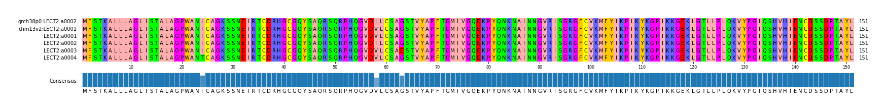 Multiple Alignments (by translate haplotype frequency)