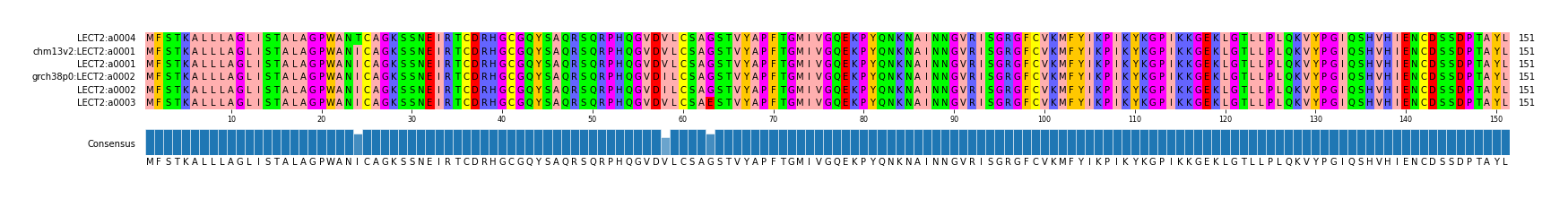 Multiple Alignments (by translate haplotype similarity)