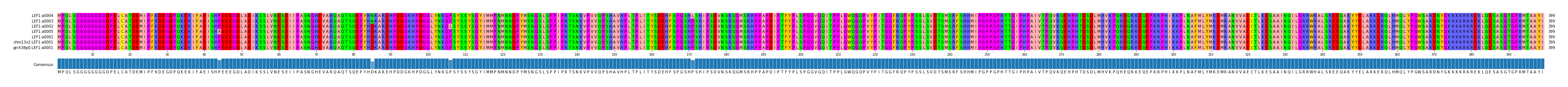Multiple Alignments (by translate haplotype similarity)