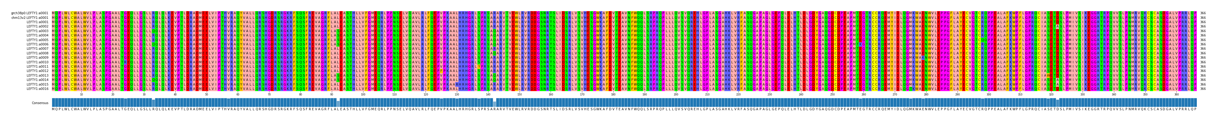 Multiple Alignments (by translate haplotype frequency)