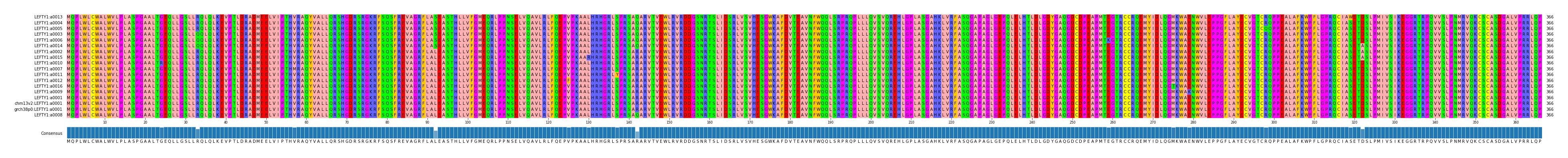 Multiple Alignments (by translate haplotype similarity)
