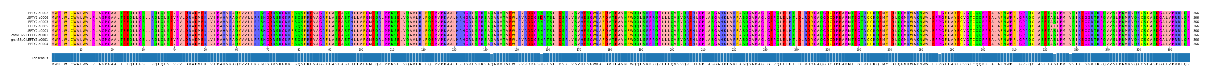 Multiple Alignments (by translate haplotype similarity)