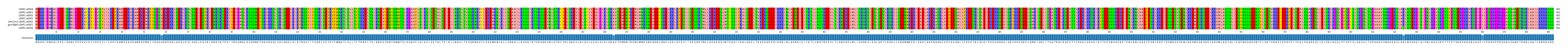 Multiple Alignments (by translate haplotype similarity)