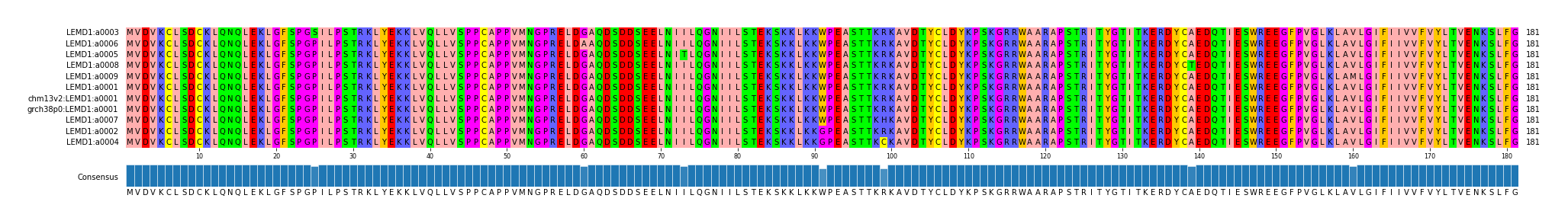 Multiple Alignments (by translate haplotype similarity)