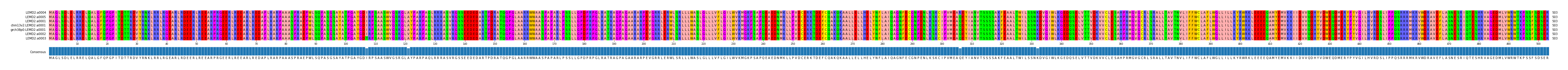 Multiple Alignments (by translate haplotype similarity)