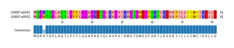 Multiple Alignments (by translate haplotype frequency)