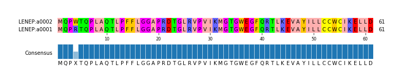 Multiple Alignments (by translate haplotype similarity)