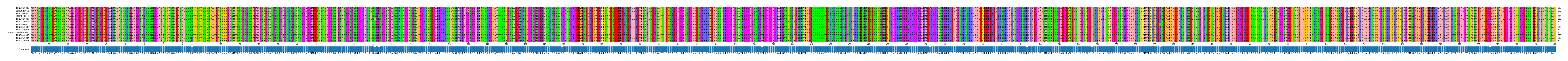 Multiple Alignments (by translate haplotype similarity)
