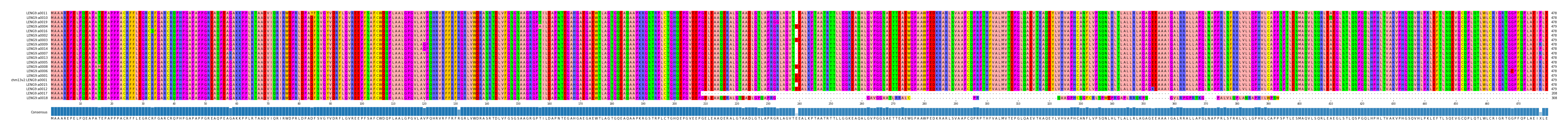 Multiple Alignments (by translate haplotype similarity)