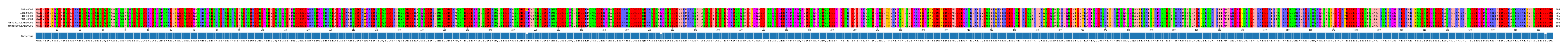 Multiple Alignments (by translate haplotype similarity)