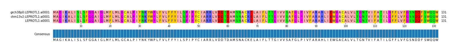 Multiple Alignments (by translate haplotype similarity)