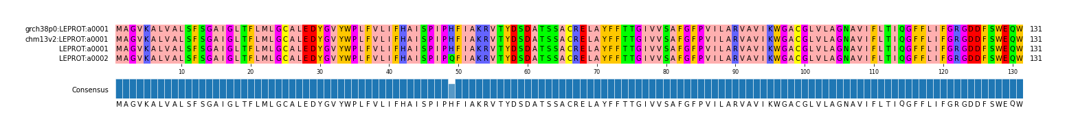 Multiple Alignments (by translate haplotype frequency)