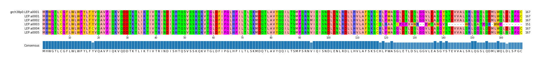 Multiple Alignments (by translate haplotype frequency)