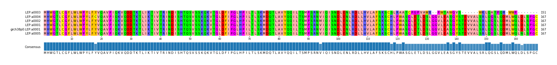 Multiple Alignments (by translate haplotype similarity)