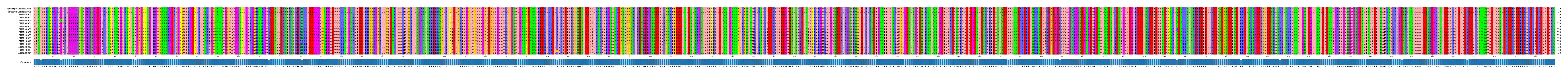 Multiple Alignments (by translate haplotype frequency)