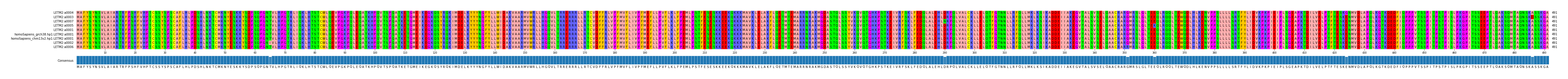 Multiple Alignments (by translate haplotype similarity)