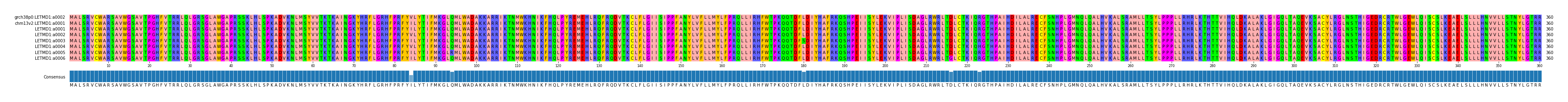 Multiple Alignments (by translate haplotype frequency)