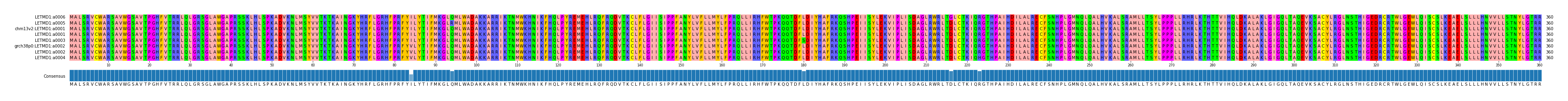 Multiple Alignments (by translate haplotype similarity)