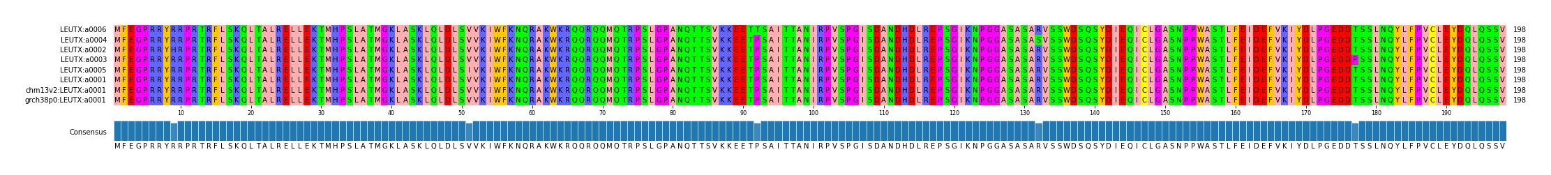 Multiple Alignments (by translate haplotype similarity)
