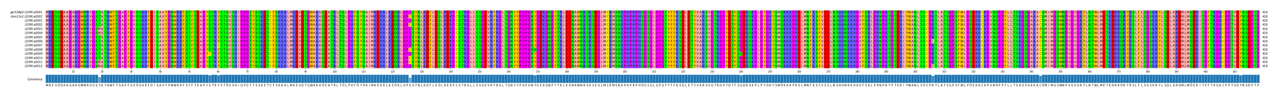 Multiple Alignments (by translate haplotype frequency)
