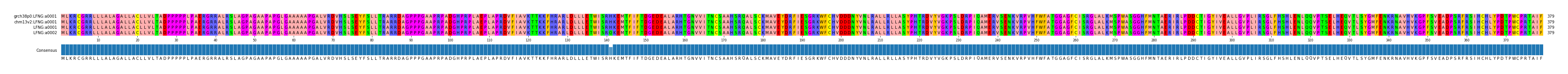 Multiple Alignments (by translate haplotype similarity)