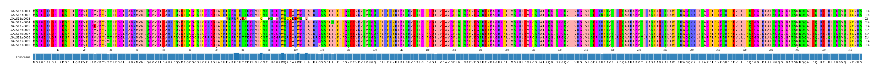 Multiple Alignments (by translate haplotype frequency)