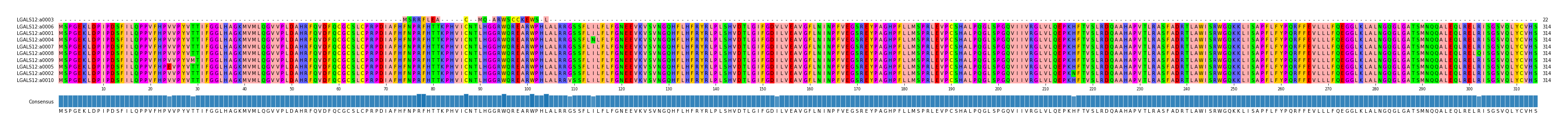 Multiple Alignments (by translate haplotype similarity)