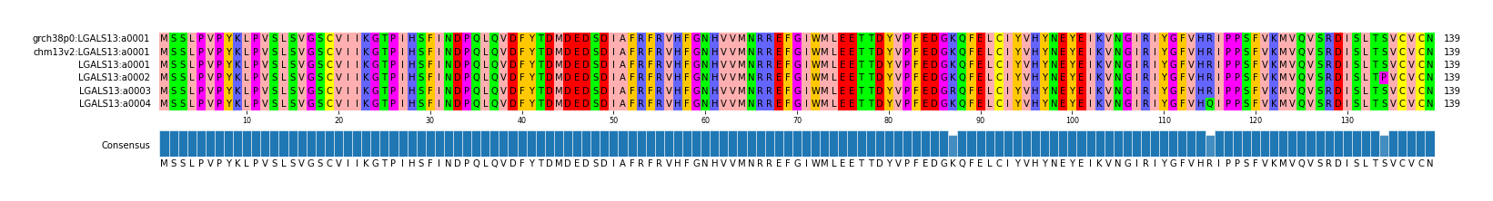 Multiple Alignments (by translate haplotype frequency)