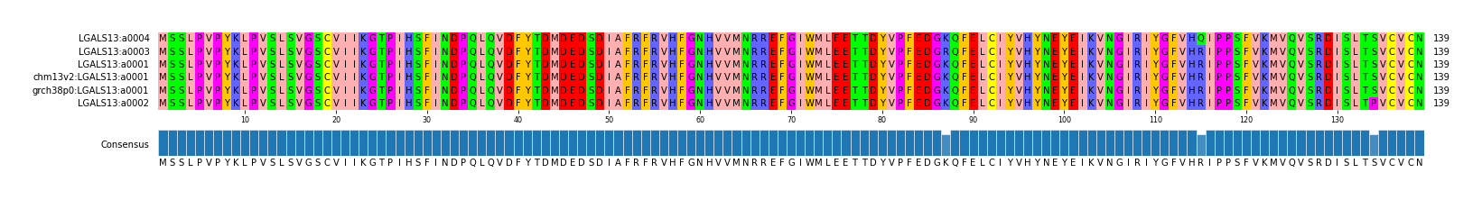 Multiple Alignments (by translate haplotype similarity)