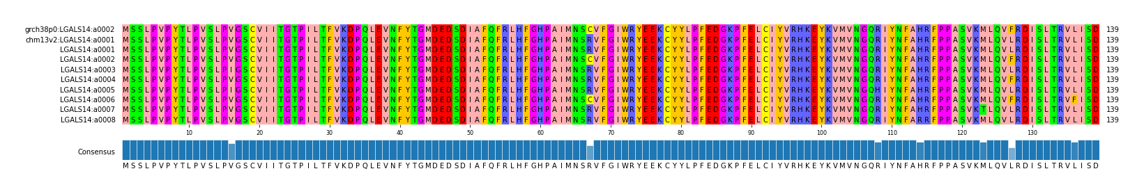 Multiple Alignments (by translate haplotype frequency)