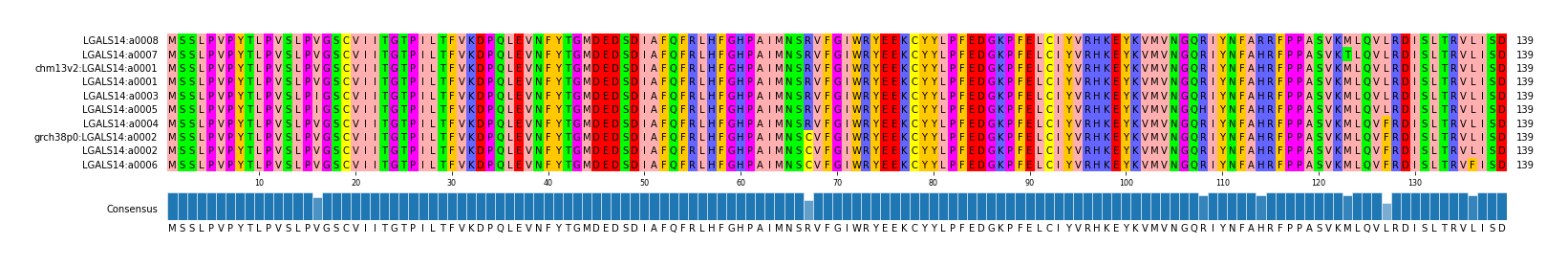 Multiple Alignments (by translate haplotype similarity)