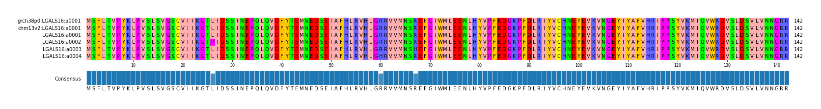 Multiple Alignments (by translate haplotype frequency)