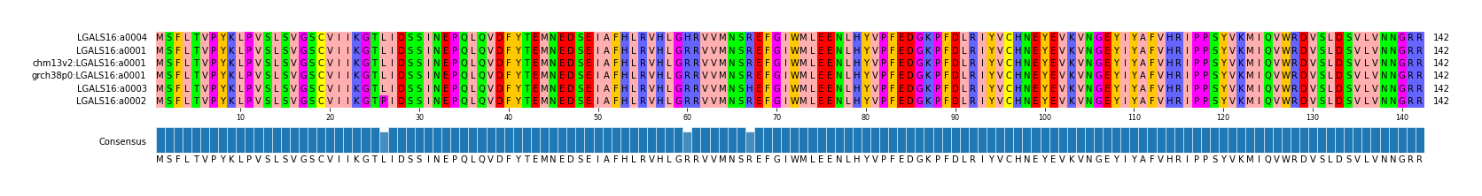 Multiple Alignments (by translate haplotype similarity)