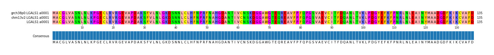 Multiple Alignments (by translate haplotype similarity)