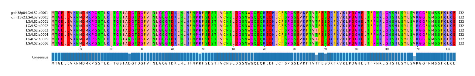 Multiple Alignments (by translate haplotype frequency)