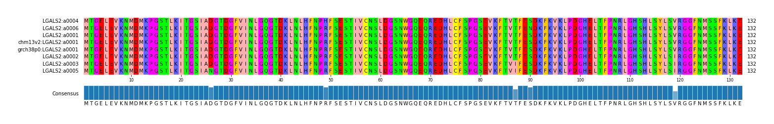 Multiple Alignments (by translate haplotype similarity)