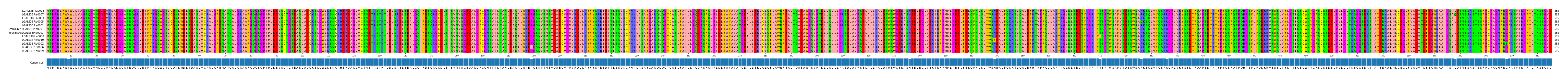 Multiple Alignments (by translate haplotype similarity)