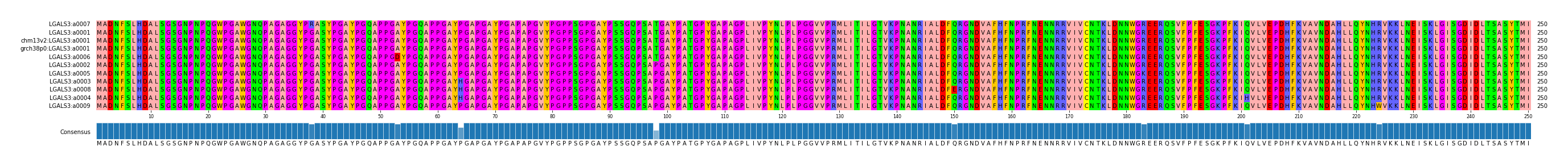 Multiple Alignments (by translate haplotype similarity)