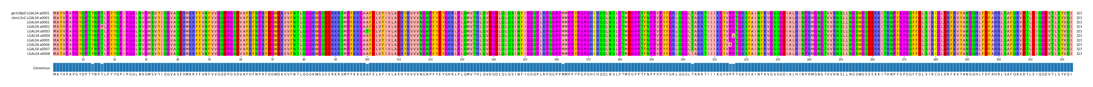 Multiple Alignments (by translate haplotype frequency)