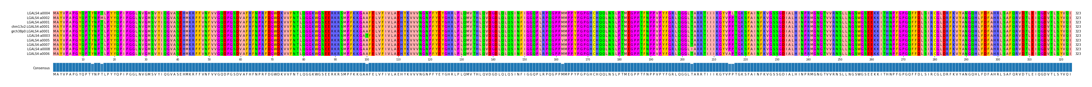 Multiple Alignments (by translate haplotype similarity)