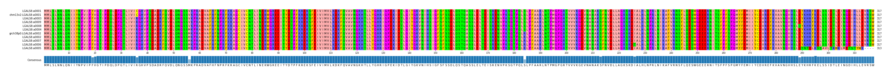 Multiple Alignments (by translate haplotype similarity)
