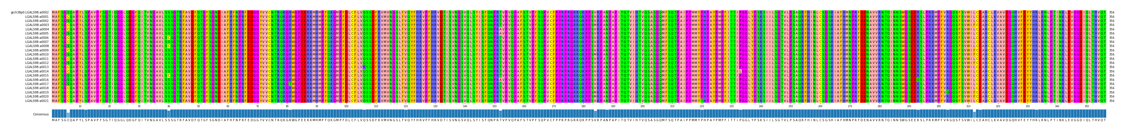 Multiple Alignments (by translate haplotype frequency)