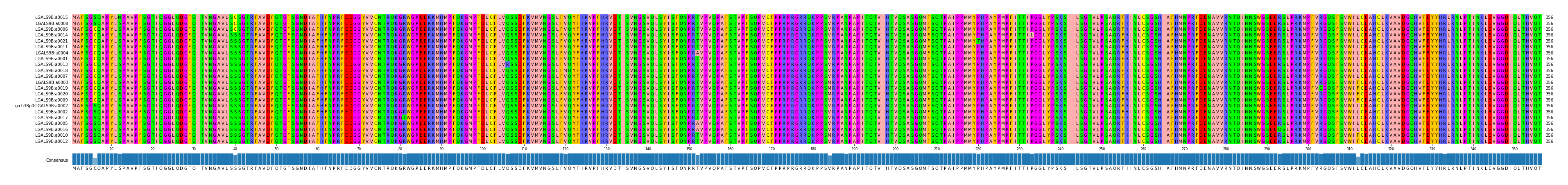 Multiple Alignments (by translate haplotype similarity)