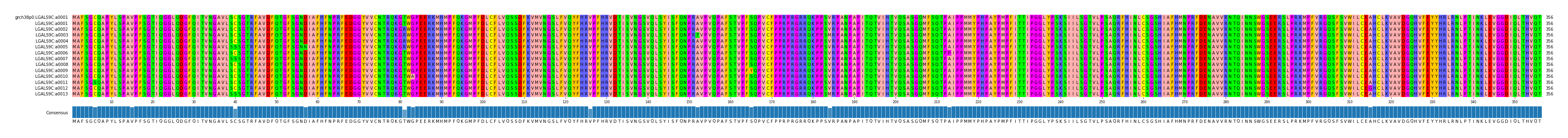 Multiple Alignments (by translate haplotype frequency)