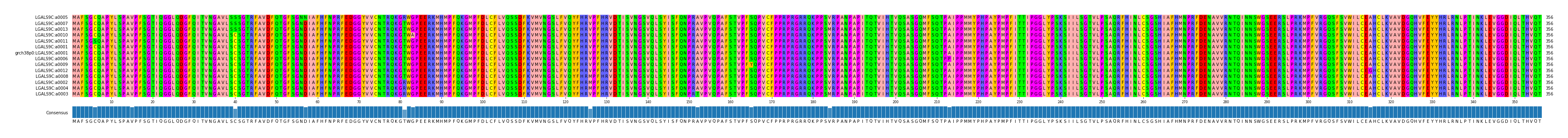 Multiple Alignments (by translate haplotype similarity)