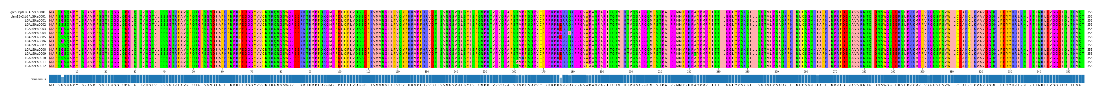 Multiple Alignments (by translate haplotype frequency)